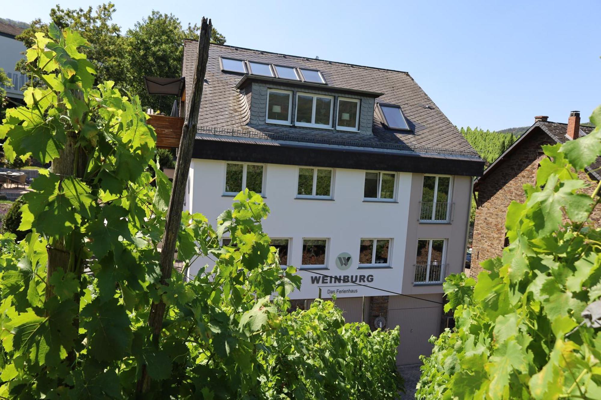 Weinburg -Das Ferienhaus Cochem Luaran gambar