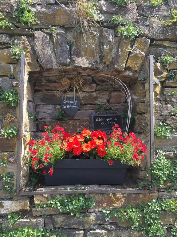 Weinburg -Das Ferienhaus Cochem Luaran gambar